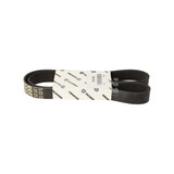 POLY V-RIEM SCANIA OEM